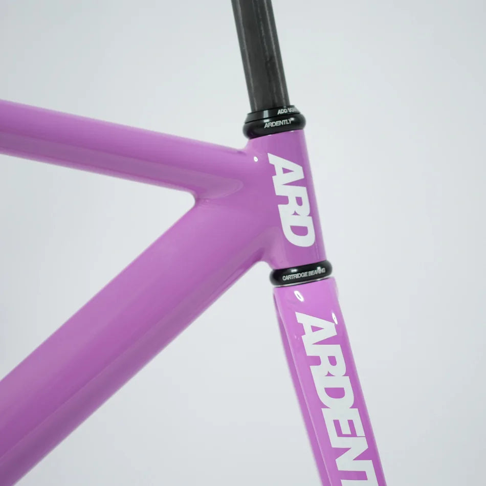 Ardently Arena Pista Frameset 700C Aluminum Fixed Gear Frame Carbon Fork Track Fixie Bike 53/55/58CM Single Speed Bicycle Parts